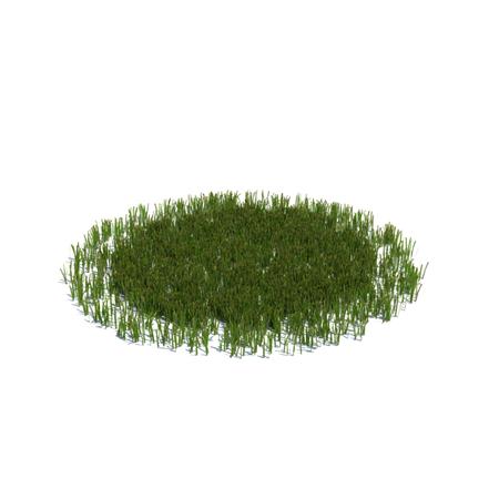 Evermotion Archmode 草地植物 简单的大草