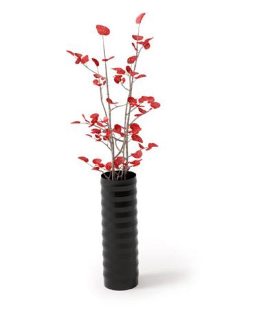 室内植物盆栽系列 红叶插花