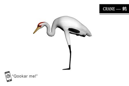 鹤 crane