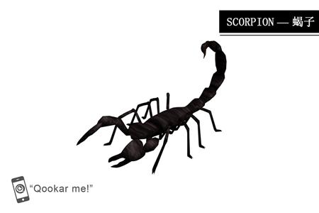 蝎子 scorpion