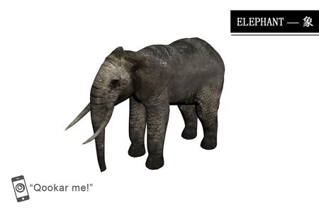大象 elephant