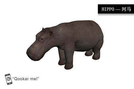 河马 hippo