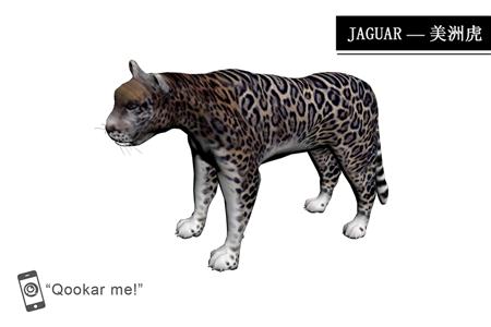 美洲虎 jaguar