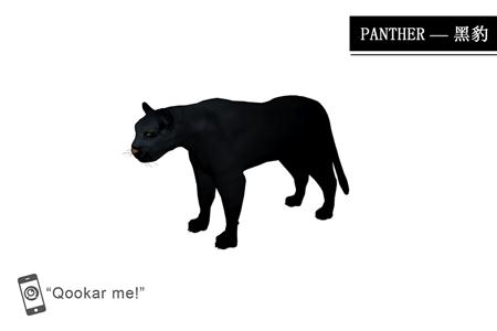 黑豹 panther