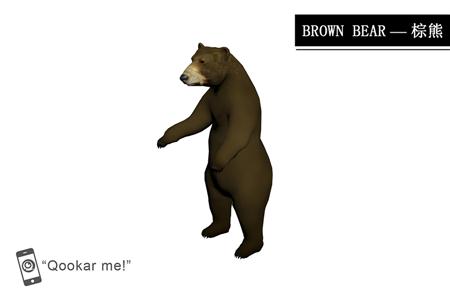 棕熊 brown bear