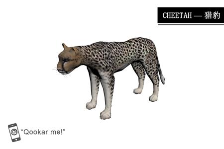 猎豹 cheetah