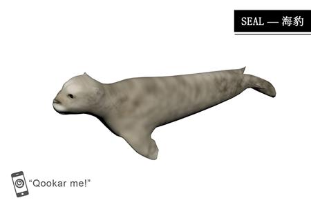 海豹 seal