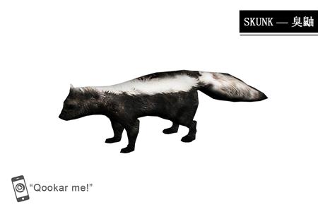 臭鼬 skunk