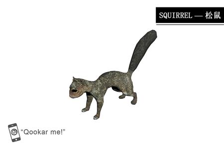 松鼠 squirrel