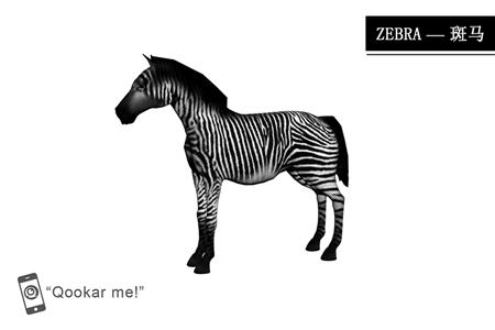 斑马 zebra